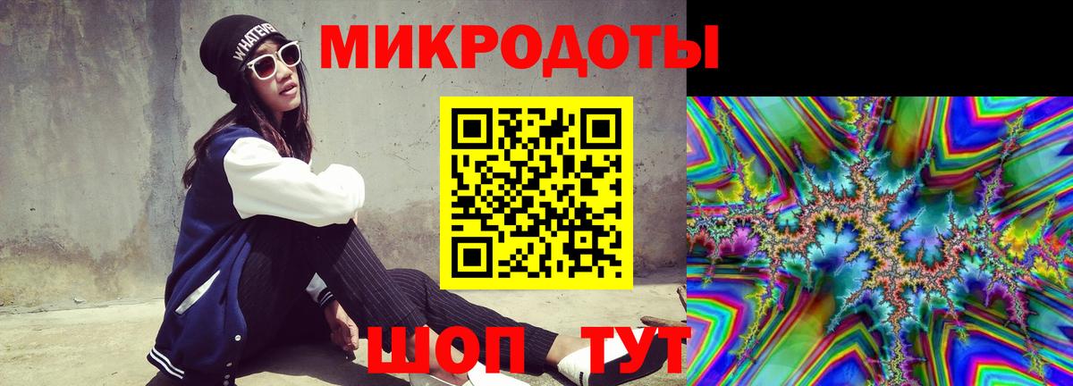 Псилоцибиновые грибы Psilocybine cubensis Киржач