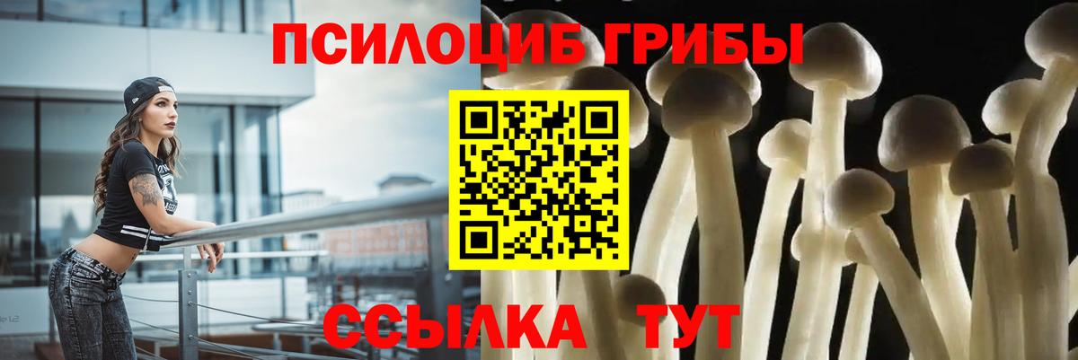 Киржач  Псилоцибиновые грибы Magic Shrooms  Вход с VPN 